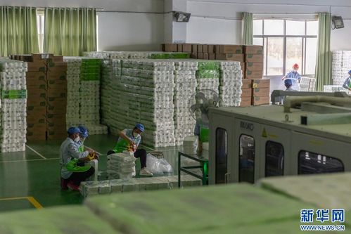 紙 短情長 解碼現(xiàn)代林產(chǎn)業(yè)綠色發(fā)展的 云景實踐